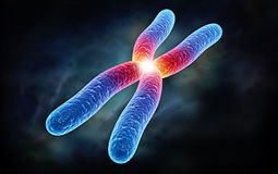 Фото: Генетические исследования при бесплодии