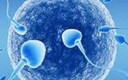 Фото: Генетическое бесплодие