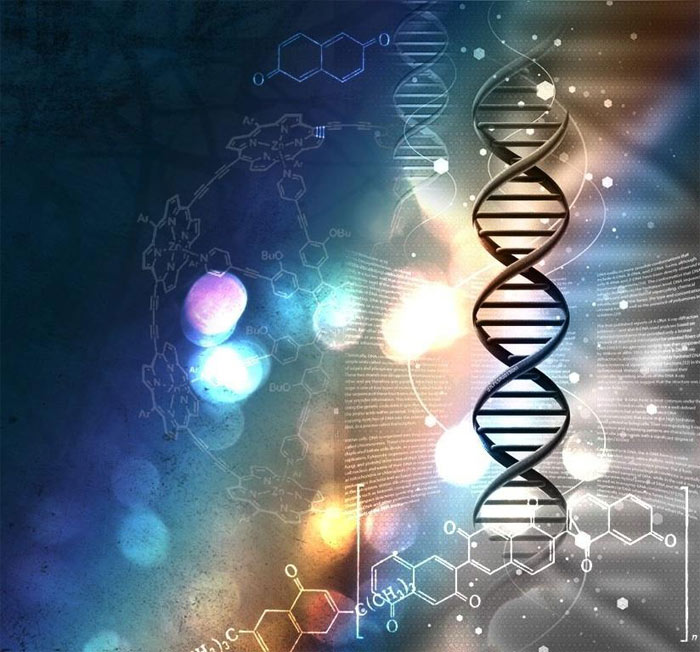 Фото: Что можно понять по результатам